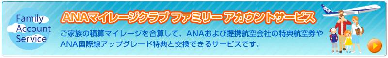 ANA�ޥ��졼������� �ե��ߥ꡼��������ȥ����ӥ�