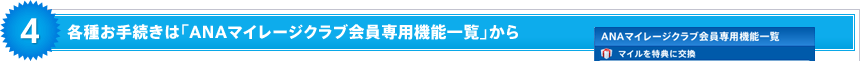 �Ƽ浪��³���ϡ�ANA�ޥ��졼������ֲ�����ѵ�ǽ�����פ���