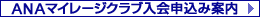 ANA�ޥ��졼����������񿽹��߰���