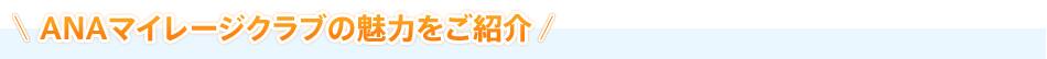 ANA�ޥ��졼������֤�̥�Ϥ򤴾Ҳ�