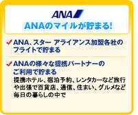 ANA�Υޥ��뤬���ޤ롪