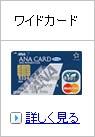�磻�ɥ�����