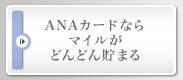 ANA�����ɤʤ�ޥ��뤬�ɤ�ɤ����ޤ�