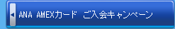 ANA AMEX������ �����񥭥��ڡ���