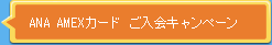 ANA AMEX������ �����񥭥��ڡ���