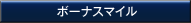 ボーナスマイル