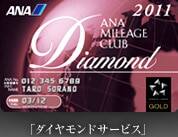 ダイヤモンドサービス