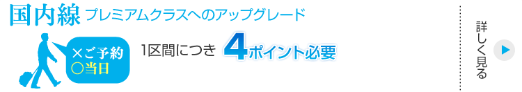 国内線プレミアムクラスへのアップグレード