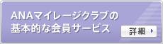 ANA�ޥ��졼������֤δ���Ū�ʲ�������ӥ�