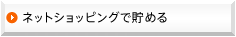 �ͥåȥ���åԥ󥰤������