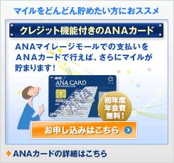 ANA�����ɤΤ���������
