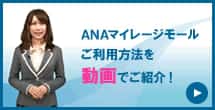 ご利用ガイド動画