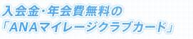 ����⡦ǯ����̵���Ρ�ANA�ޥ��졼������֥����ɡ�