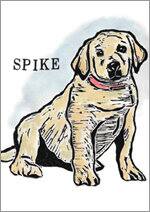 �����Ѱ�Ĺ���̾ޡ�SPIKE��Natsuko��Nakamura�ʥ����ꥹ��
