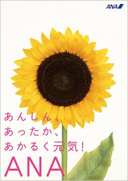 ���󤷤󡢤��ä����������뤯������