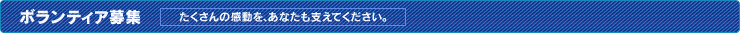 �ܥ��ƥ����罸