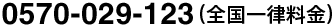 0570-029-123(�����Χ����)