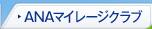 ANA�ޥ��졼�������