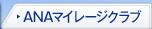 ANA�ޥ��졼�������