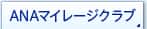 ANA�ޥ��졼�������