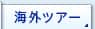 �C�O���s�i�c�A�[�j