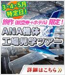 ANA���ι��츫�إĥ���