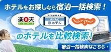 �ۥƥ��õ���ʤ�����縡����