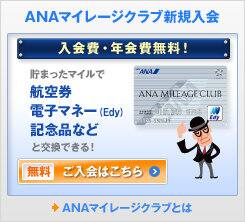 ANA�ޥ��졼������ֿ�������