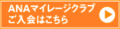 ANA�ޥ��졼������֤�����Ϥ�����