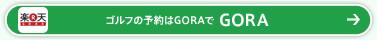 �S���t�̗\���GORA�� GORA