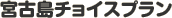 �{�Ó��`���C�X�v����