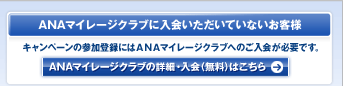 ANA�ޥ��졼������֤����񤤤������Ƥ��ʤ�������