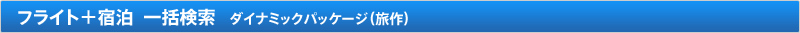 �t���C�g�{�h��  �ꊇ���� �_�C�i�~�b�N�p�b�P�[�W�i����j