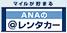 ANA��@��󥿥���