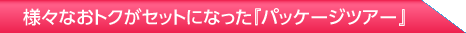 �l�X�Ȃ��g�N���Z�b�g�ɂȂ����w�p�b�P�[�W�c�A�[�x