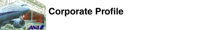 Corporate Profile