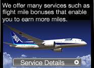 This service is complete with flight mile bonuses that let you accumulate more miles. 