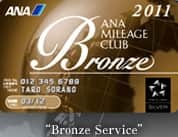 Bronze Service