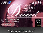 Diamond Service