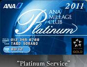 Platinum Service