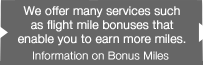 Information on Bonus Miles