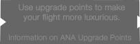 Information on ANA Upgrade Points