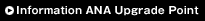 Information on ANA Upgrade Points