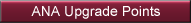 ANA Upgrade Points