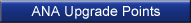 ANA Upgrade Points