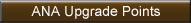 ANA Upgrade Points