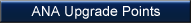 ANA Upgrade Points