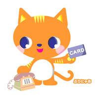 NTT International Credit Card