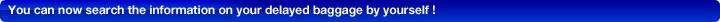 You can now search the information on your delayedbaggage by yourself !