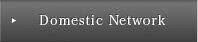 Domestic Network
